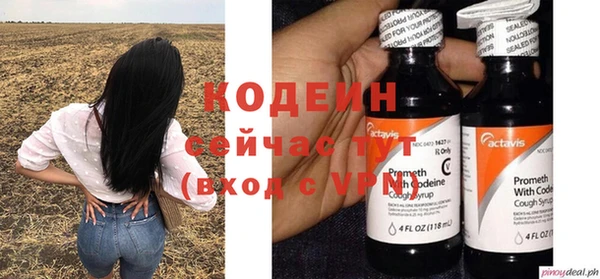 кокс Алексин