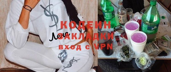 кокс Алексин