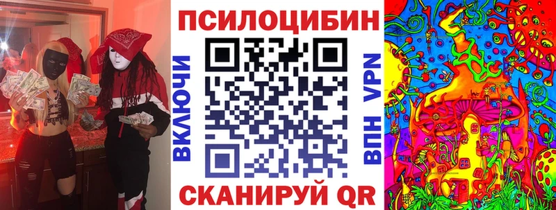 Псилоцибиновые грибы Cubensis  Кольчугино 